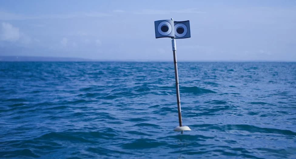 Floating “Scarecrow” Buoy: Giant Eyes Cut Seabird Bycatch More Effectively Than Kites