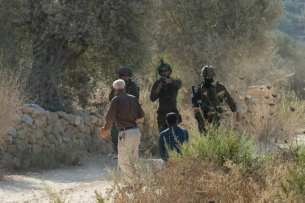 Settler Violence Targets Olive Pickers as Soldiers Detain Reporters in West Bank