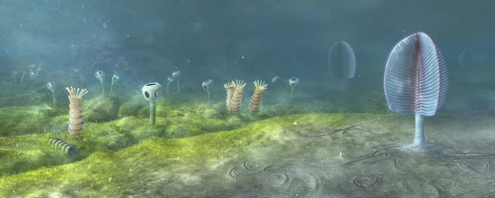 New Study Pushes Animal Origins Back to ~700–800 Million Years Ago