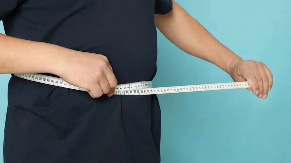 Molecular 'Memory' in Fat Cells May Explain Why Lost Weight Often Returns