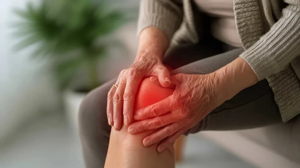 Scientists Identify TRPM2 'Pain Switch' — Blocking It Erases Arthritis Pain In Mice