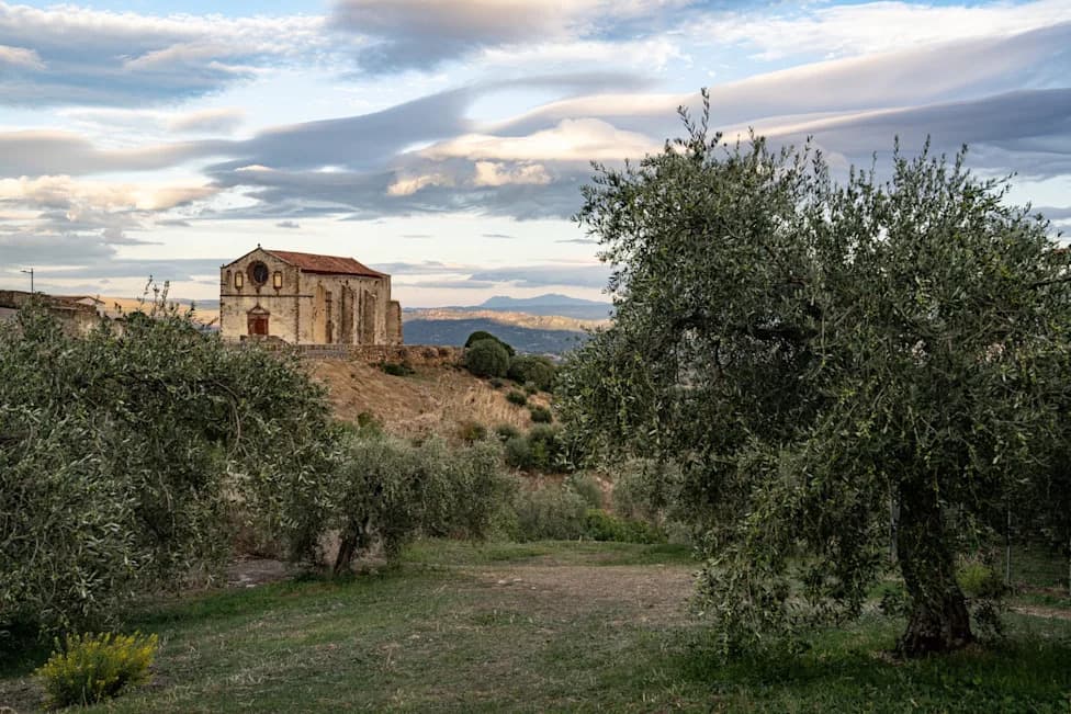A Sardinian 'Blue Zone' Where Women Thrive: What Bolotana Reveals About Longevity