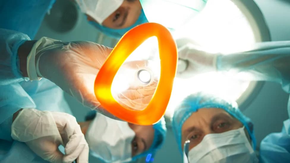 Anesthesia Makes Brains Behave Like Worms — Study Reveals a Universal Break in Brain Integration