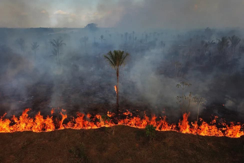 Far-Right Surge in Brazil's Congress Could Open Indigenous Lands to Mining, Threatening the Amazon